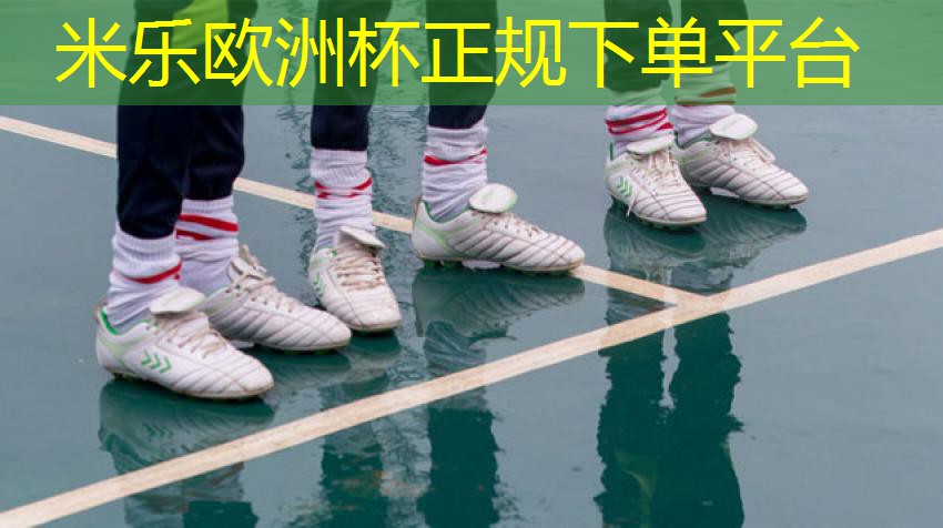 米乐M6官网:乒乓球台室内比赛专用