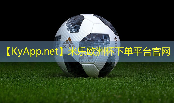 强调互动性与参与感!室外体育健身器材场地的团队合作项目探索