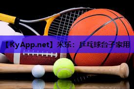 米乐:乒乓球台子家用