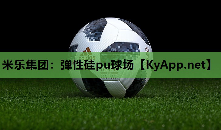米乐集团:弹性硅pu球场
