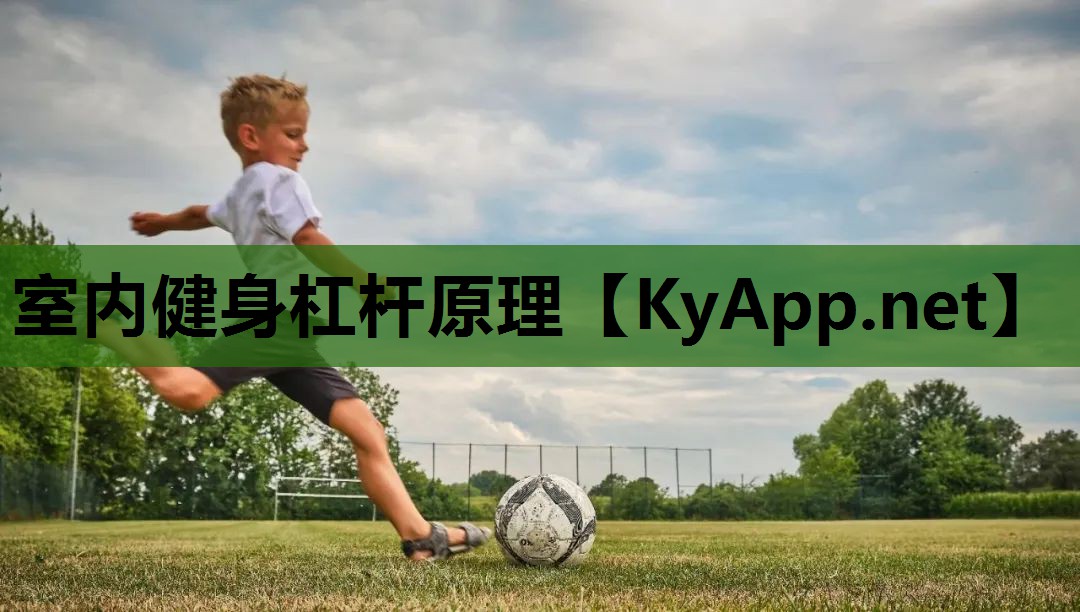 室内健身杠杆原理