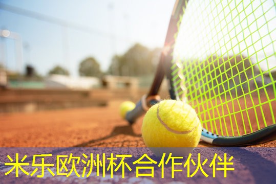 乒乓球台分几种型号