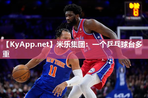 一个乒乓球台多重