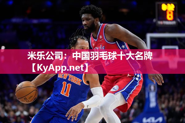 中国羽毛球十大名牌