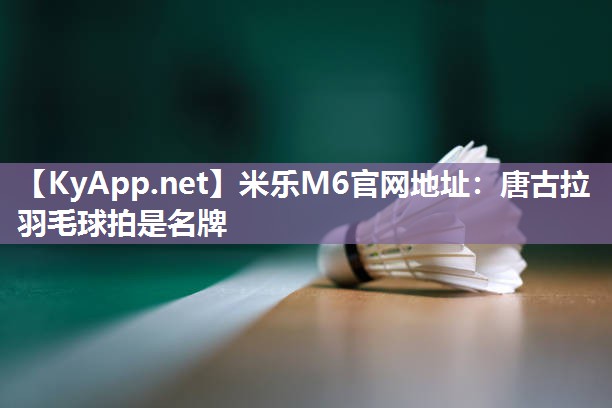 唐古拉羽毛球拍是名牌